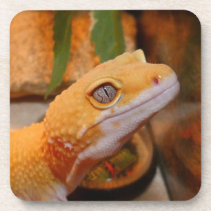 Dessous-de-verre Gecko
