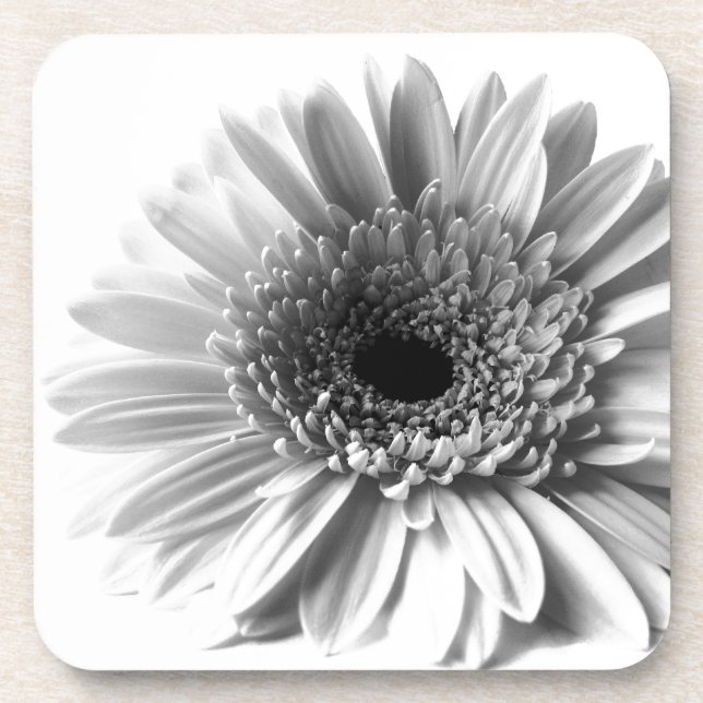 Dessous-de-verre Gerbera (Devant)