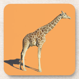 Dessous-de-verre Giraffe