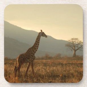 Dessous-de-verre Giraffe dans la Savannah