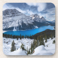 Glace et neige | Lac Peyto, Rocheuses canadiennes
