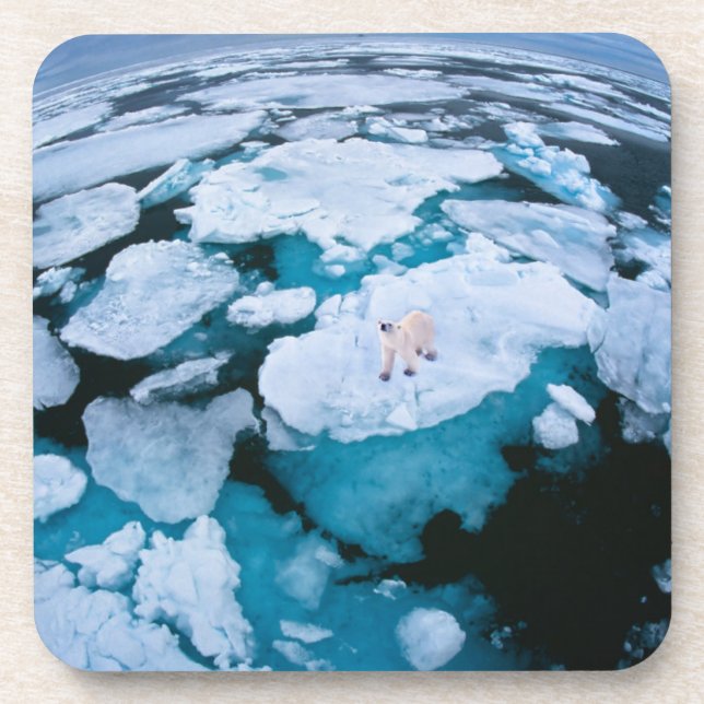 Dessous-de-verre Glace et neige | Ours polaire, Océan Arctique, Sva (Devant)