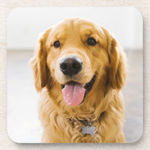 Dessous-de-verre Golden Retriever souriant