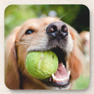 Dessous-de-verre Golden Retriever With Tennis