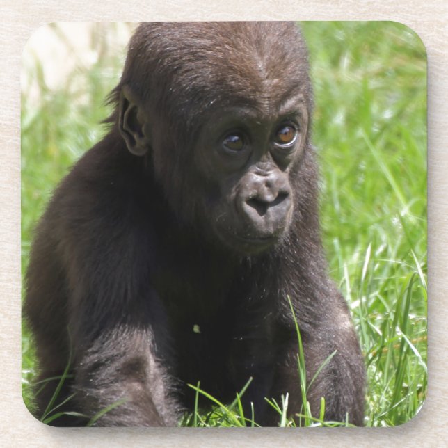 Dessous-de-verre Gorillaby (Devant)
