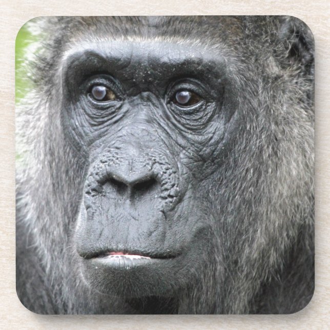 Dessous-de-verre Gorille 004 (Devant)