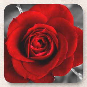 Dessous de verre gothiques de Rose rouge