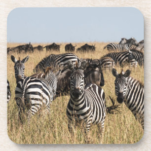 Dessous-de-verre Grant's Zebra Beverage Coaster