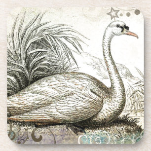 Dessous-de-verre Graphique de cygne