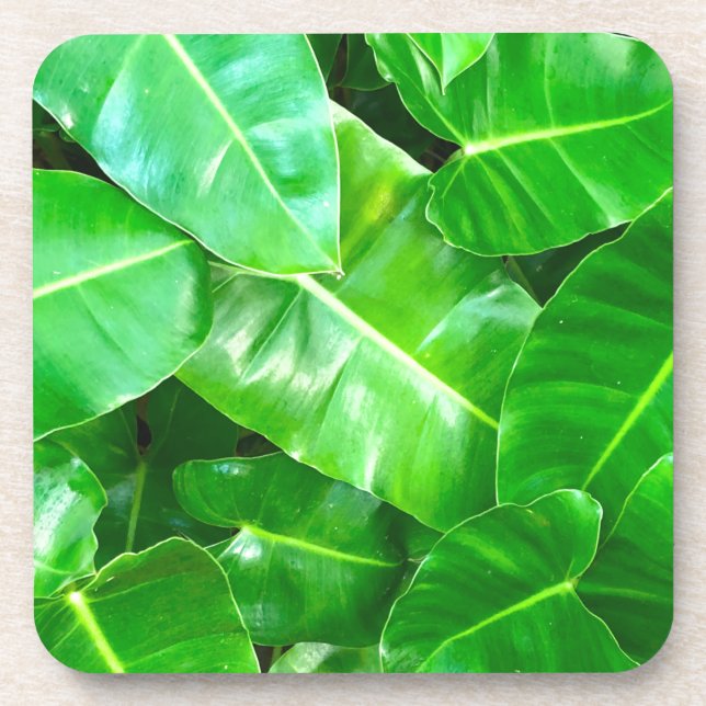 Dessous-de-verre Green feuille Palm Leaf feuillage tropical jungle (Devant)