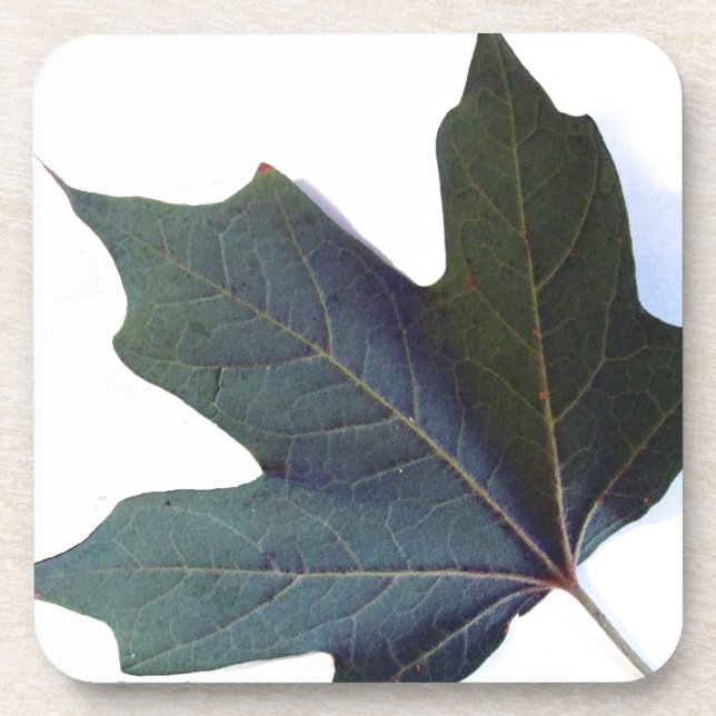 Dessous-de-verre Green leaf (Devant)