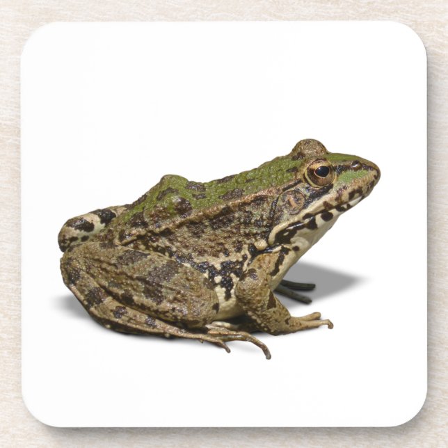 Dessous-de-verre Grenouille (Devant)