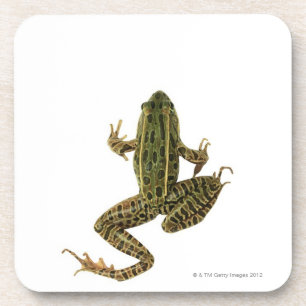 Dessous-de-verre Grenouille 2