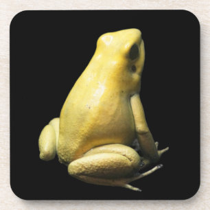 Dessous-de-verre Grenouille à poison dorée