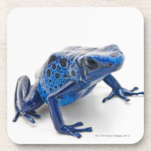 Dessous-de-verre Grenouille bleue de dard de poison (Dendrobates