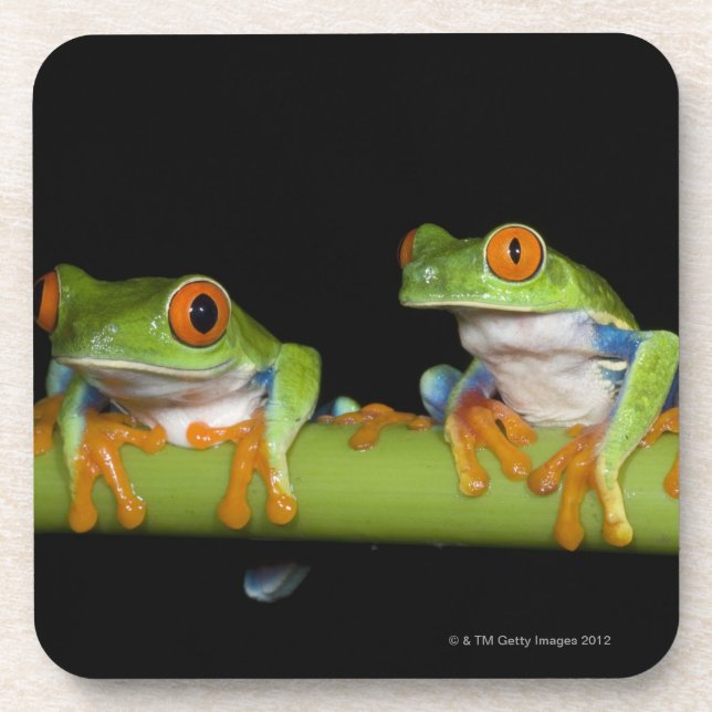 Dessous-de-verre Grenouilles d'arbre aux yeux rouges (callidryas (Devant)