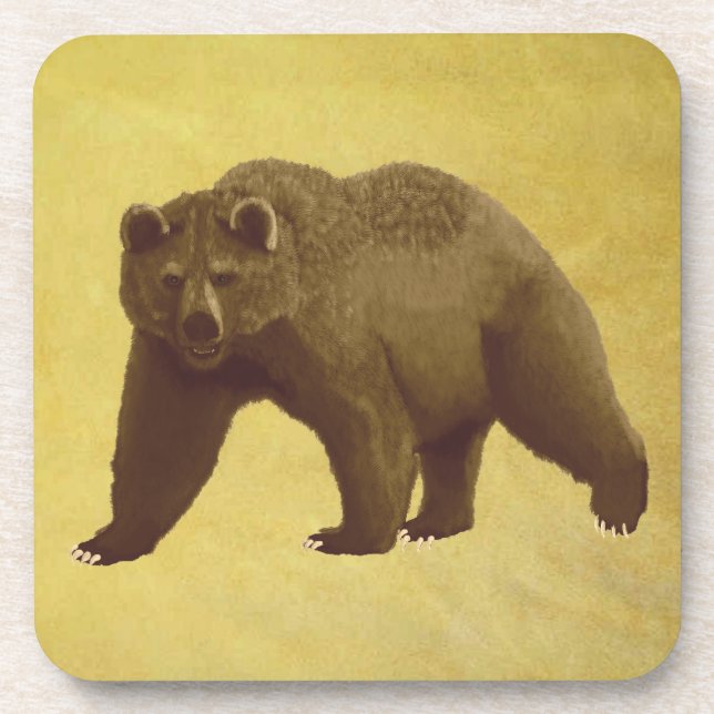 Dessous-de-verre Grizzly Bear (Devant)