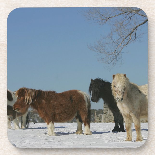 Dessous-de-verre Groupe de chevaux miniatures dans la neige (Devant)