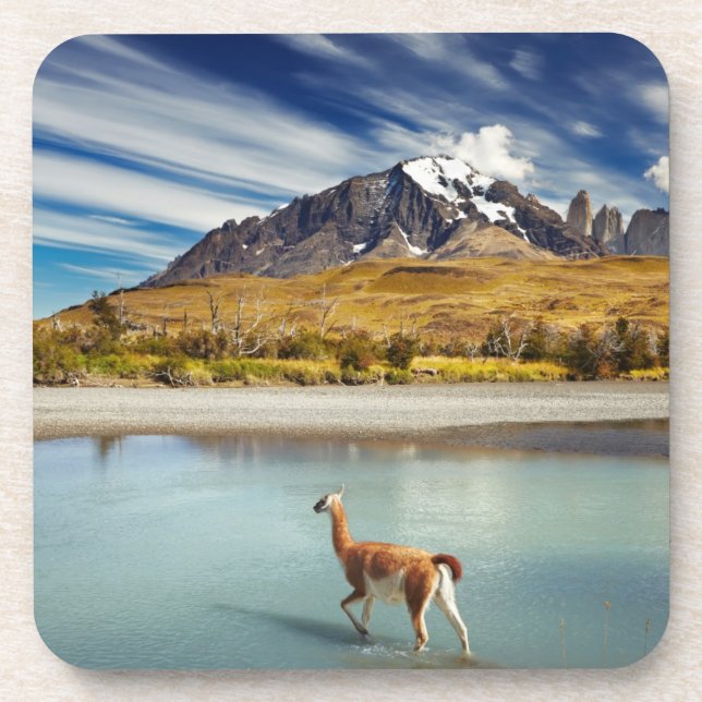 Dessous-de-verre Guanaco traversant la rivière en Torres del Paine (Devant)
