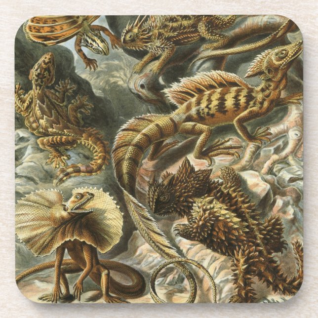 Dessous-de-verre Haeckel (Devant)