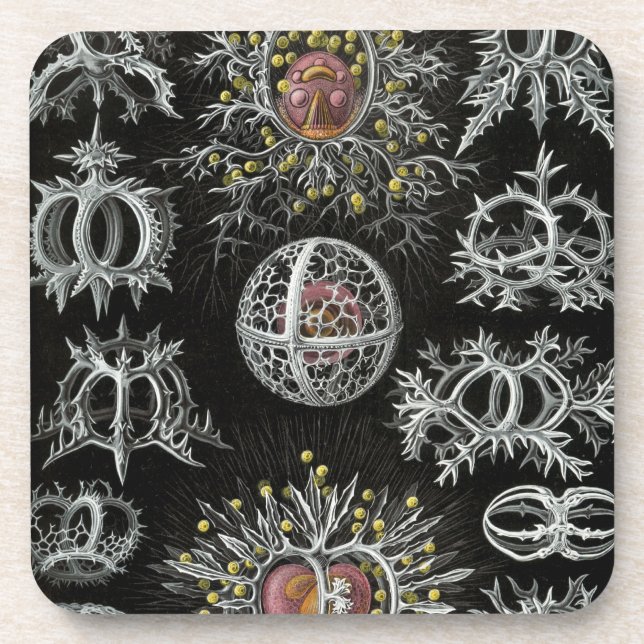 Dessous-de-verre Haeckel (Devant)