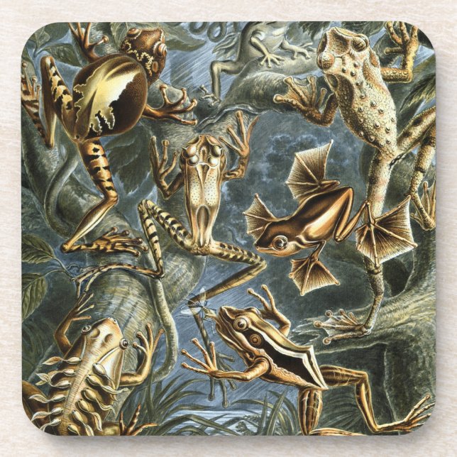 Dessous-de-verre Haeckel Frogs (Devant)