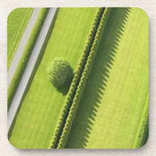 Dessous-de-verre Haie dans le Hamptons