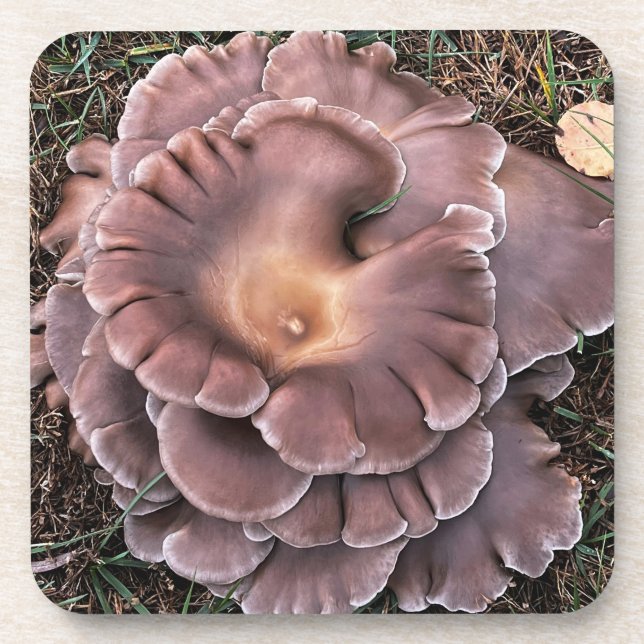 Dessous-de-verre Hard plastic coaster Fungi (Devant)