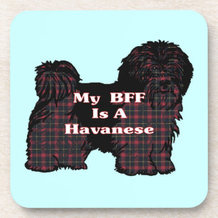 DESSOUS-DE-VERRE HAVANESE BFF