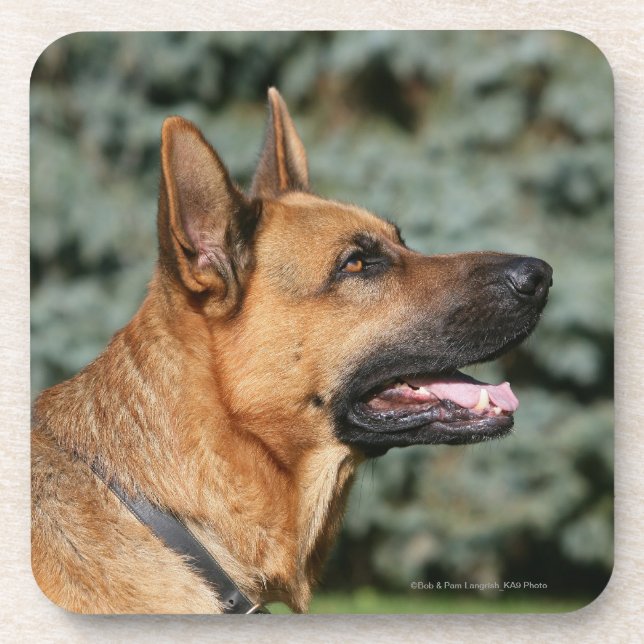 Dessous-de-verre Headshot 1 de berger allemand (Devant)