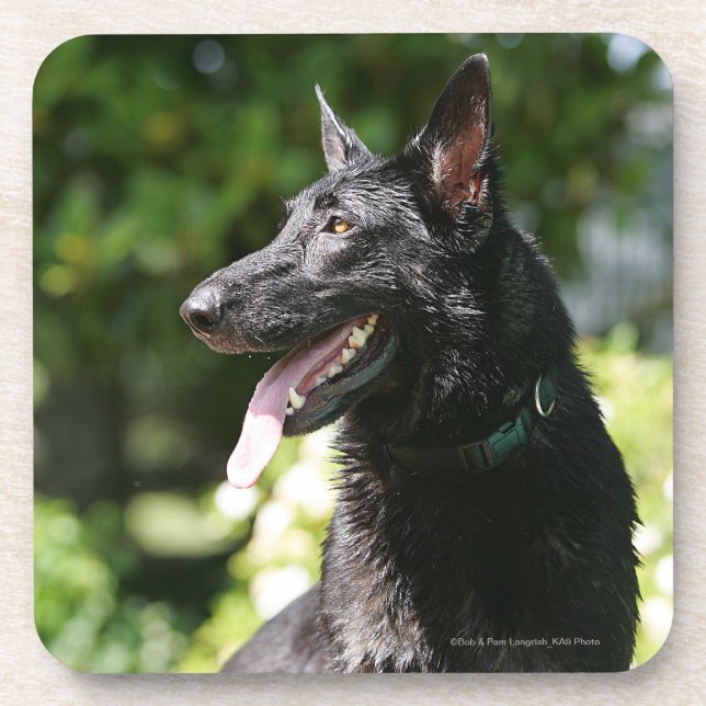 Dessous-de-verre Headshot 2 de berger allemand (Devant)
