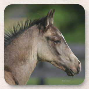 Dessous-de-verre Headshot quart de poulain de cheval