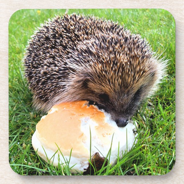 DESSOUS-DE-VERRE HÉDGEHOG (Devant)