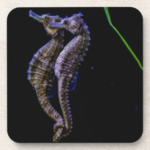 Dessous-de-verre Hippocampes (hippocampes)