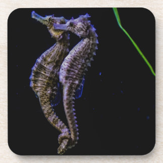 Dessous-de-verre Hippocampes (hippocampes)