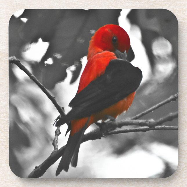 Dessous-de-verre Homme Scarlet Tanager (Devant)