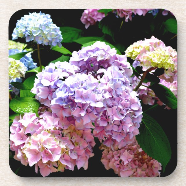 Dessous-de-verre Hydrangea garden, rose, bleu, purple floral (Devant)