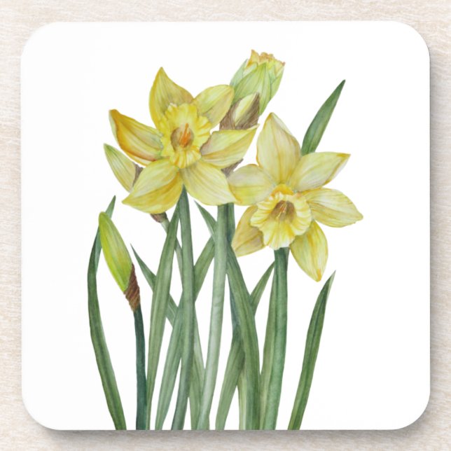 Dessous-de-verre Illustration du portrait des jonquilles d'aquarell (Devant)