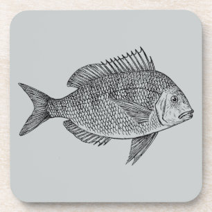 Dessous-de-verre Illustration marine de poisson vintage