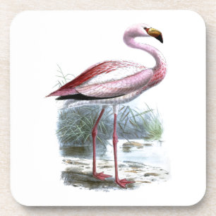 Dessous-de-verre Illustration Vintage du Flamant rose Puna