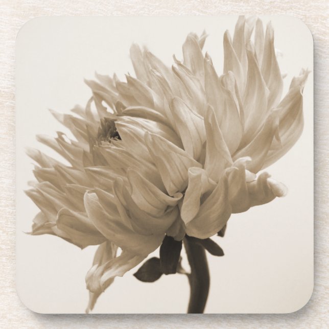 Dessous-de-verre impression dahlia sepia (Devant)