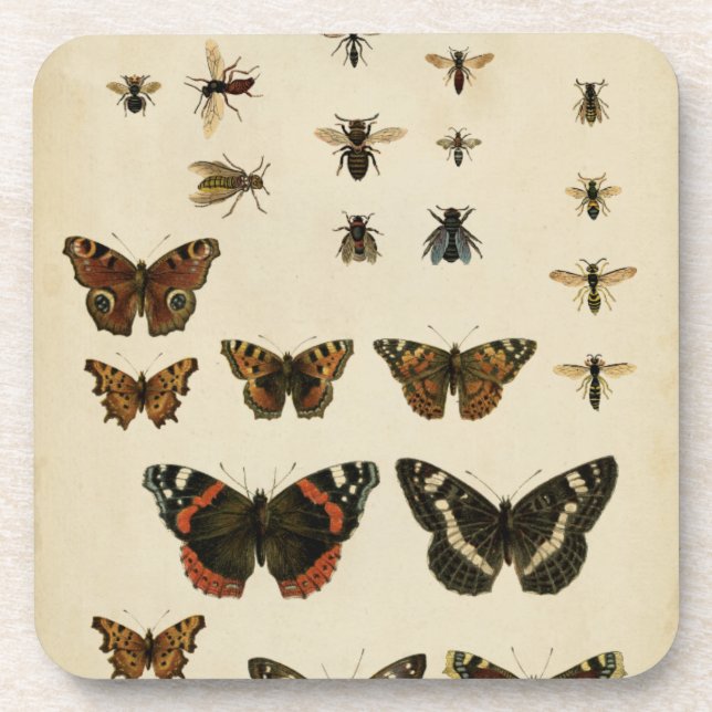 Dessous-de-verre Insectes de jardin par Vision Studio (Devant)