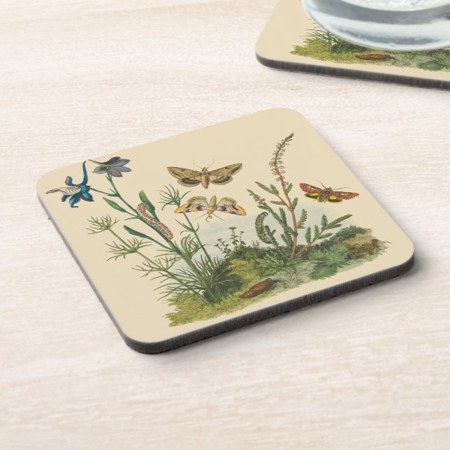 Dessous-de-verre Insectes de jardin vintage, papillons, chenilles (Côté gauche)