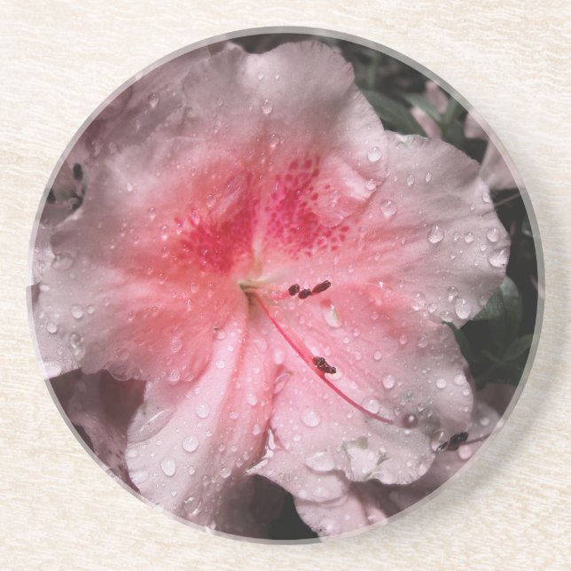 Dessous de verre intérieur (Devant)