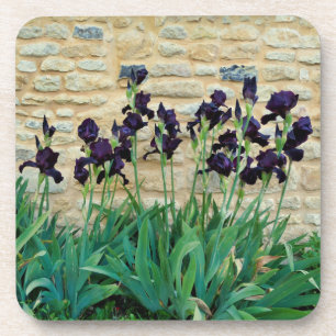 Dessous-de-verre Iris à poils