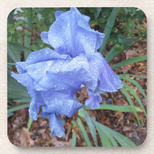 Dessous-de-verre Iris bleu (Devant)