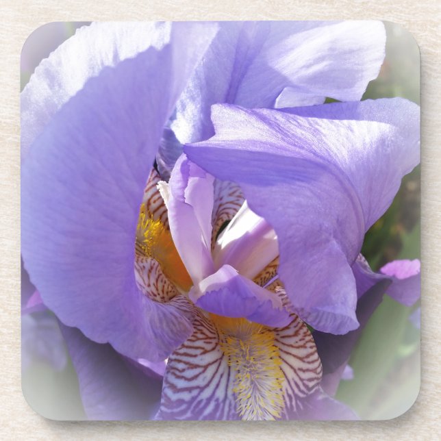 Dessous-de-verre iris pourpre (Devant)