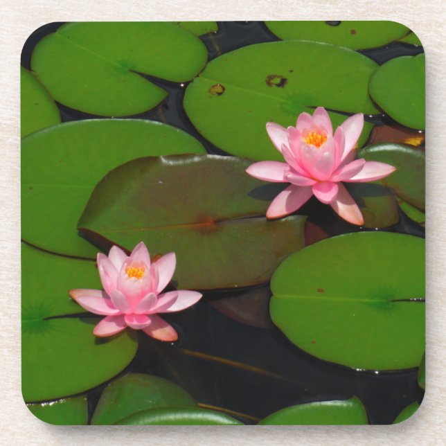 Dessous-de-verre Jardin de fleurs de laine d'eau de lotus rose, (Devant)