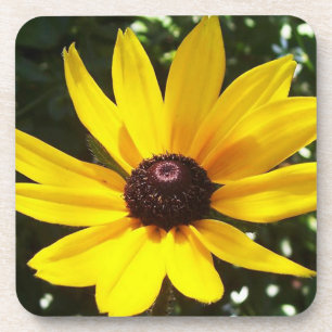 Dessous-de-verre Jaune