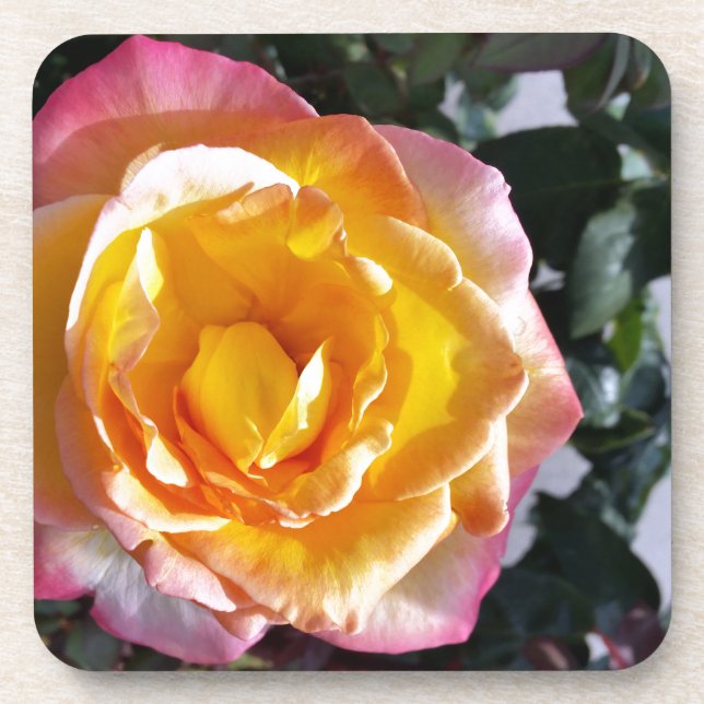 Dessous-de-verre jaune et rose (Devant)